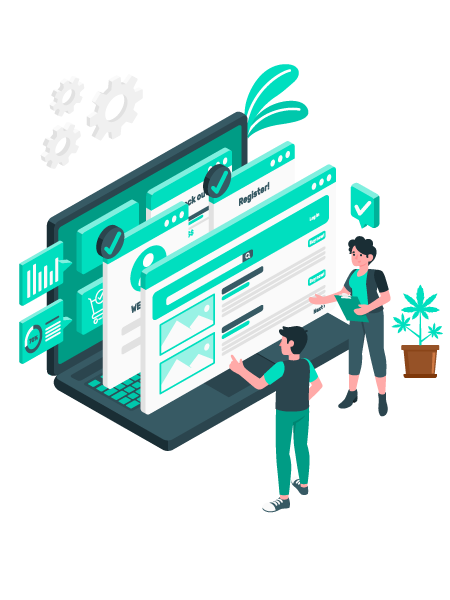 website design